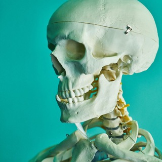 Telegram profile photo for I'm a doctor