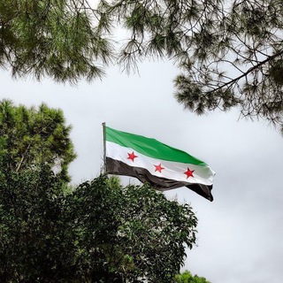 Telegram profile photo for PHarmacy 2020_2025 ||Damascus||