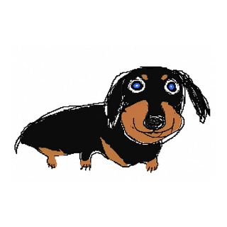 Telegram profile photo for Новасти