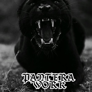 Telegram profile photo for PANTERA