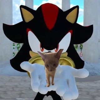 Telegram profile photo for v nevesomosti