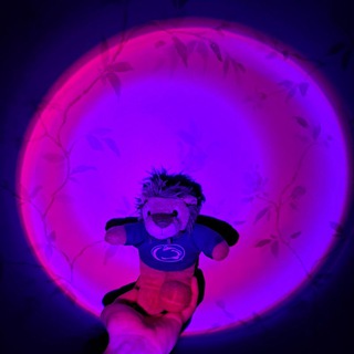 Telegram profile photo for и т.д. и т.п.
