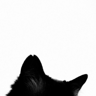 Telegram profile photo for киричи