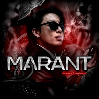 Telegram profile photo for Marant