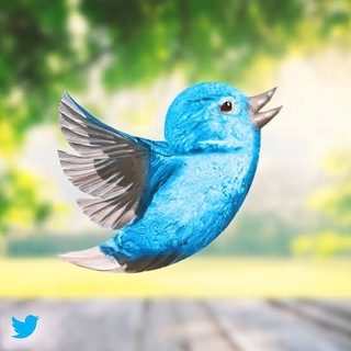 Telegram profile photo for INHindiKyahai - Satik Khabar or shai khabar. No bakwass only in Hindi