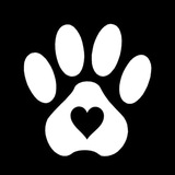 Telegram profile photo for ЗАДАНИЯ PAWS 🐾