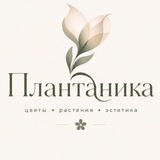 Telegram profile photo for ПЛАНТАНИКА