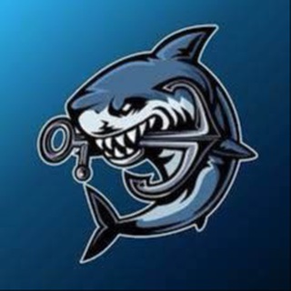 Telegram profile photo for Blog Shark Traffic