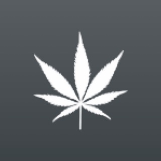 Telegram profile photo for sc3 dbblb