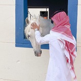 Telegram profile photo for شعر بدوي ' 🚬