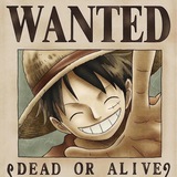 Telegram profile photo for 悬赏赏金令