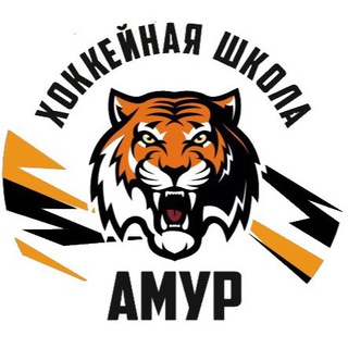 Telegram profile photo for Amurschool27
