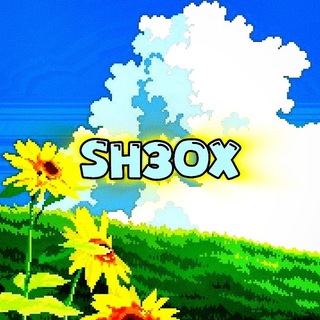 Telegram profile photo for Shadowsocks | Sh3oX