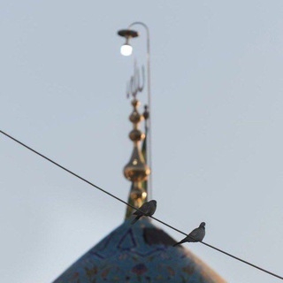 Telegram profile photo for أربعينية الصلاة الفاطمية