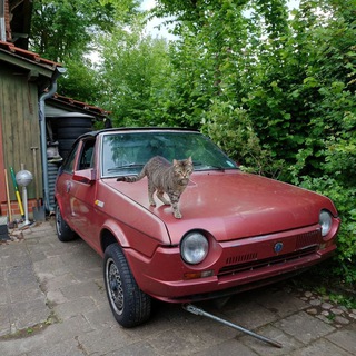 Telegram profile photo for Fiat Ritmo Bertone