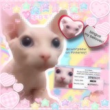Telegram profile photo for assortment Ichigo shopp