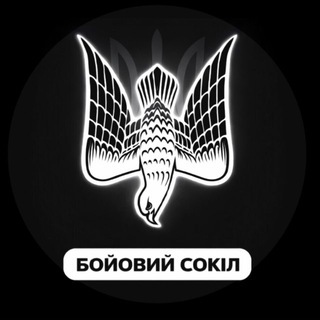 Telegram profile photo for Бойовий Сокіл