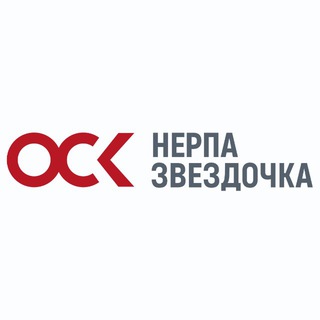 Telegram profile photo for ОСК | Нерпа