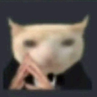 Telegram profile photo for ✧˖°.Полу-рест Подвал Старки ✧˖°.