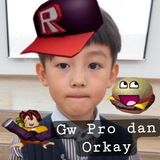 Telegram profile photo for Player Roblox Sejati, Sehan