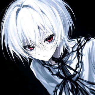 Telegram profile photo for 长春的窝