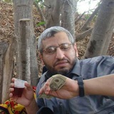 Telegram profile photo for ابو البراء باحريش الكندي