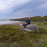 Telegram profile photo for no tourism