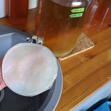 Telegram profile photo for 🍹Kombucha u. Selbstgemachtes 🥔🍅🧄🧅🥕🍓🥬🥐🥨🍧🍞🍪