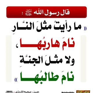 Telegram profile photo for دين ودنيا 2