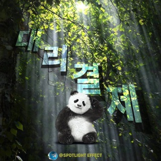 Telegram profile photo for 판다대리결제