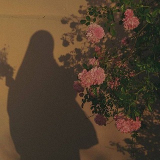 Telegram profile photo for غيمة ☔🦋🕊️