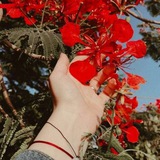 Telegram profile photo for ﺣ͠ ۅٱطر جّـميلْـة 💛🧚🏻♀️ ؛