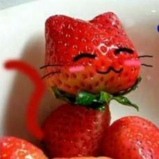 Telegram profile photo for gay-ish strawberries SESBIAN LEX EDITION