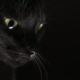 Telegram profile photo for ▸ ㅤ هروب الآخرين