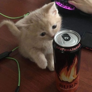 Telegram profile photo for карась сдурел