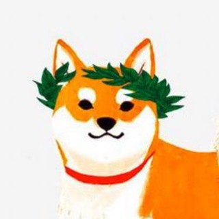 Telegram profile photo for Cy By Foo