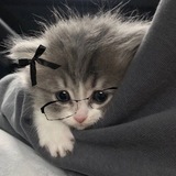 Telegram profile photo for Бурмяудя