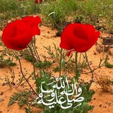Telegram profile photo for صــلوا عــليــ۵