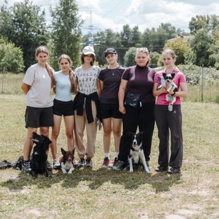 Telegram profile photo for agility junior | НН