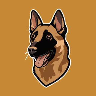 Telegram profile photo for Belgian Malinois INU | Portal