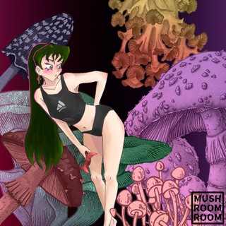 Telegram profile photo for Mushroom room