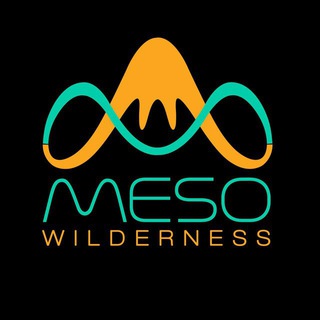 Telegram profile photo for MESO