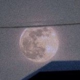 Telegram profile photo for Sleppyyt?