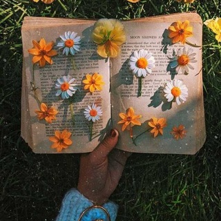 Telegram profile photo for ✏•Citɑções░⃝🌻 Diάriɑs•❥