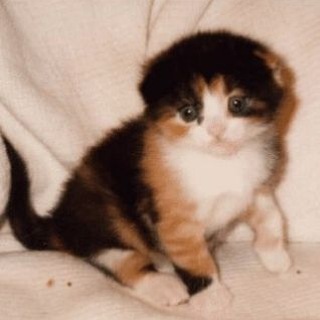 Telegram profile photo for архив