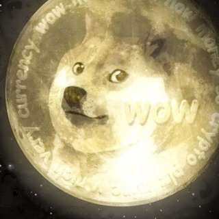 Telegram profile photo for DOGE-1
