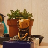 Telegram profile photo for Михална на связи