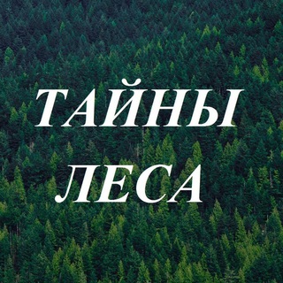 Telegram profile photo for Тайны Леса