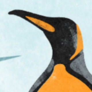 Telegram profile photo for Struchkov Hub