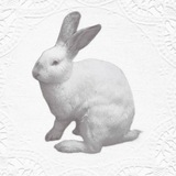Telegram profile photo for отделение хирургического рассечения центральной части белого вещества в области лобных долей энгеля